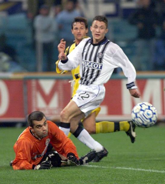 迈尼昂的发 迈尼昂的发