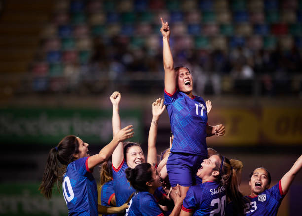 为公众提供 为公众提供